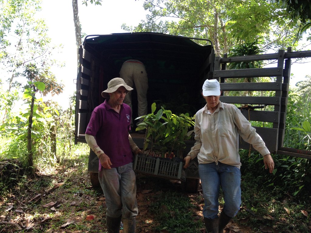 Transporting Diverse Trees to Planting Sites