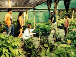 Community Tree Nursery