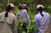 Plant 30,000 native trees Costa Rican owned farms