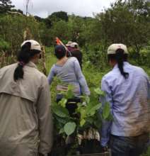 Plant 30,000 native trees Costa Rican owned farms