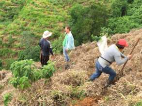 Planting trees with fairly paid men and women