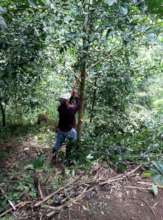 Fair pay jobs for workers stops deforestation