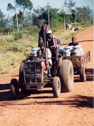 Help Kenyan Dairy Farmers Increase Their Income