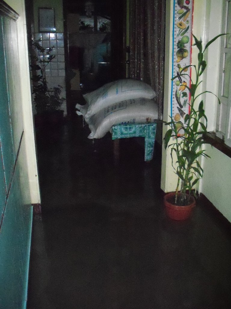 Help feed and clothe flood victims in Philippines