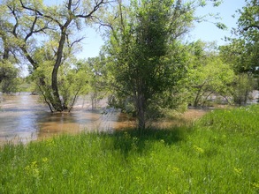 Poudre River flooding in 2014