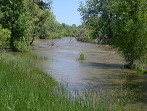 Programs with people about the Poudre River