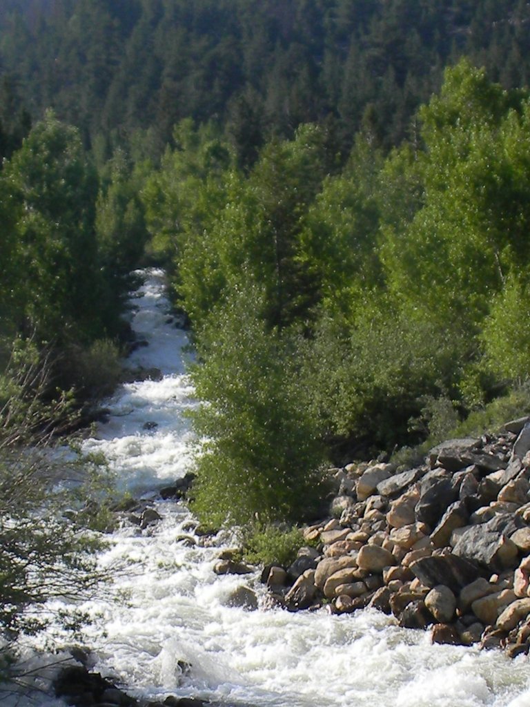 Global River Project - for the Children