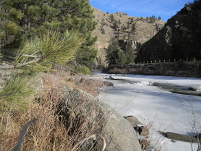 Poudre River Jan. 2015