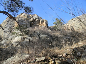 Banks of the Poudre