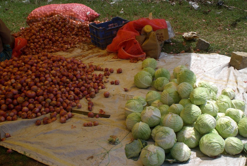 One time grant to start vegetable & fruit vending