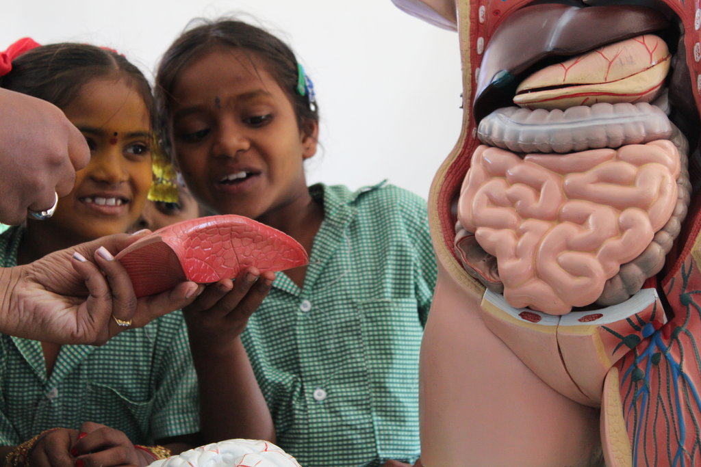$1 Science and Art lessons for 1800 kids in India