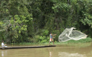 #AmazonRainforestDay - Nurishing life