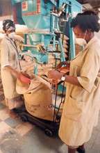 Workers processing coffee