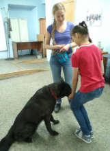 Dog training course