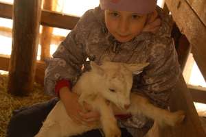 Luisa with a little goatling