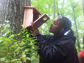 Grace checking the placement of the Blue bird box
