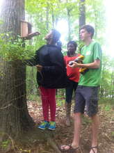 Success with the installation.  Welcome bluebirds!