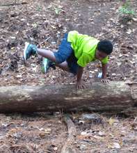 Think like a bear traversing the log