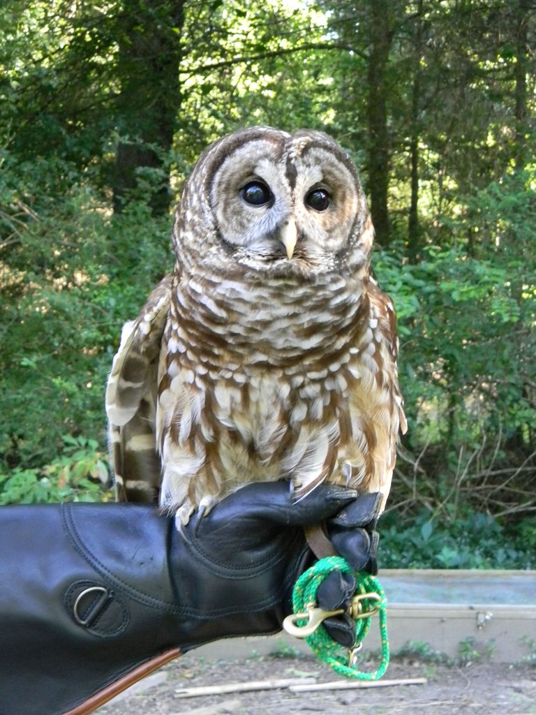 Send 30 Children to Afterschool Nature Program