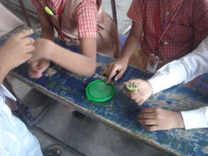Children examine mosquito larvae