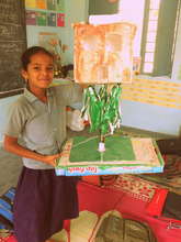 Priya* and her group's project - Tree House