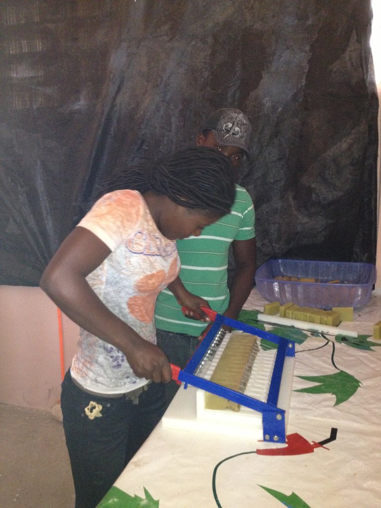 Educate 30 Young Women Business Leaders in Haiti