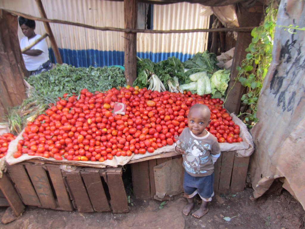 Computer skills for health and education in slums
