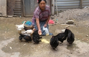 Micro Credit for 15 Women in Guatemalan Highlands
