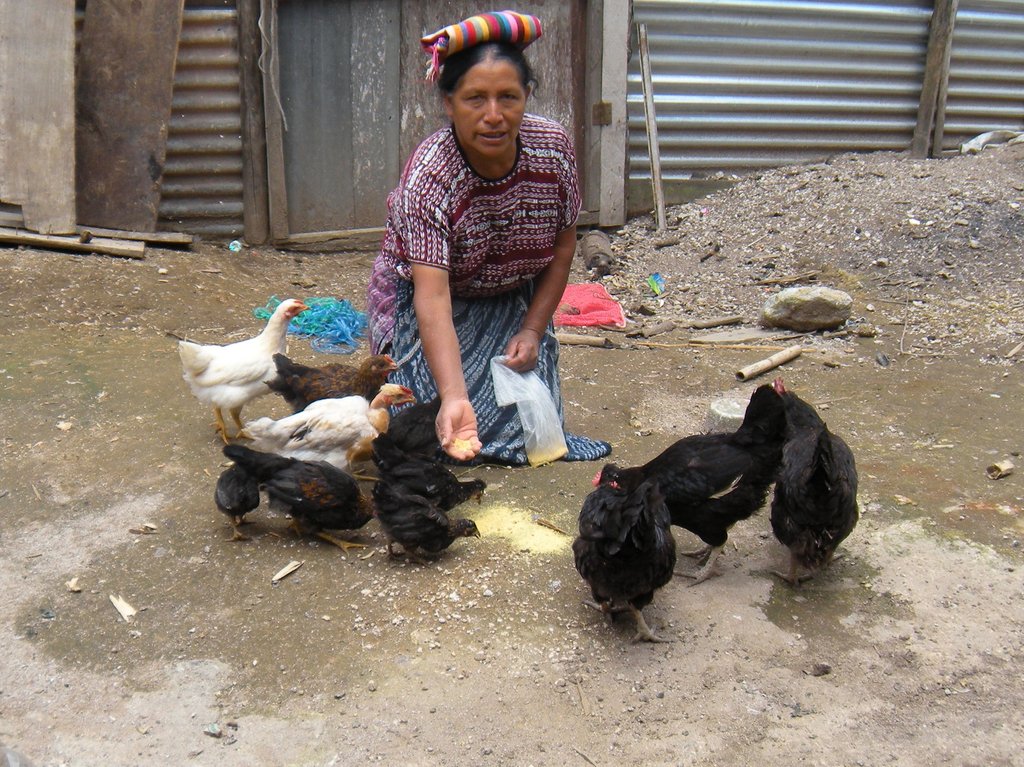 Micro Credit for 15 Women in Guatemalan Highlands