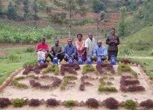 Coffee Farmers from the Karaba Cooperative