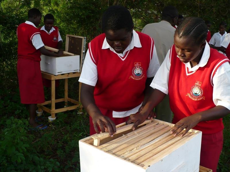 LifeSkills: Beekeeping Training for Girls in Kenya