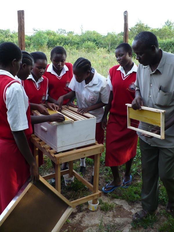 LifeSkills: Beekeeping Training for Girls in Kenya