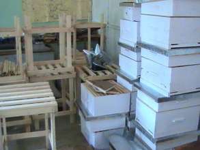 Bee Hives & Stands