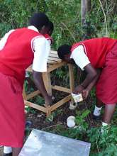 A simple way to stop termite infestation: plastic