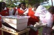 LifeSkills: Beekeeping Training for Girls in Kenya
