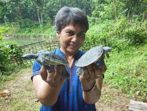 Rupali and hatchlings. More eggs in the nursery!