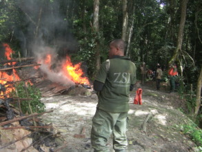 Elephants poaching camps burned_Oliver Fankem_ZSL