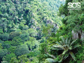 Mpanga Gorge