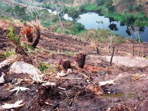 Land degraded by slash and burn