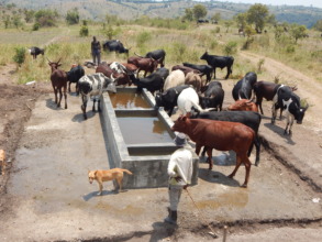 Cycad habitat protected from thirsty cattle