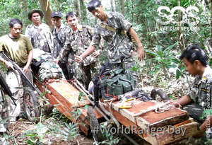 Rangers recover poached rosewood in Thap Lan Park