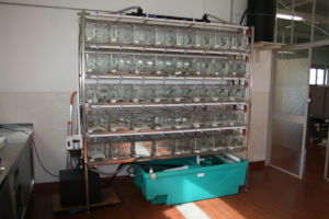 Captive breeding facilities