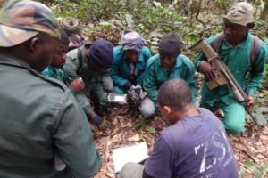 Using SMART technology improves patrol results