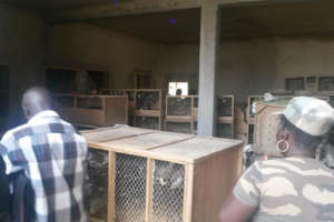 Aziz Sall used an official business as cover