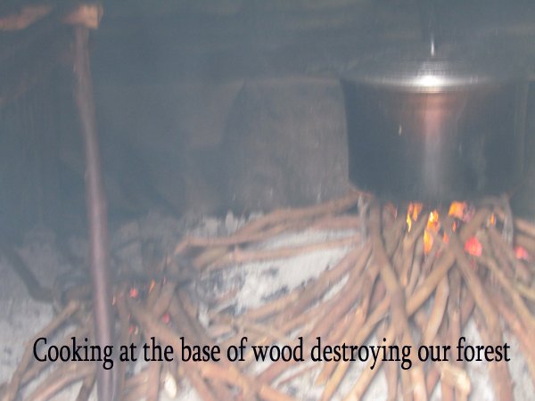 Fund a Sustainable, Green Coal Plant in Benin