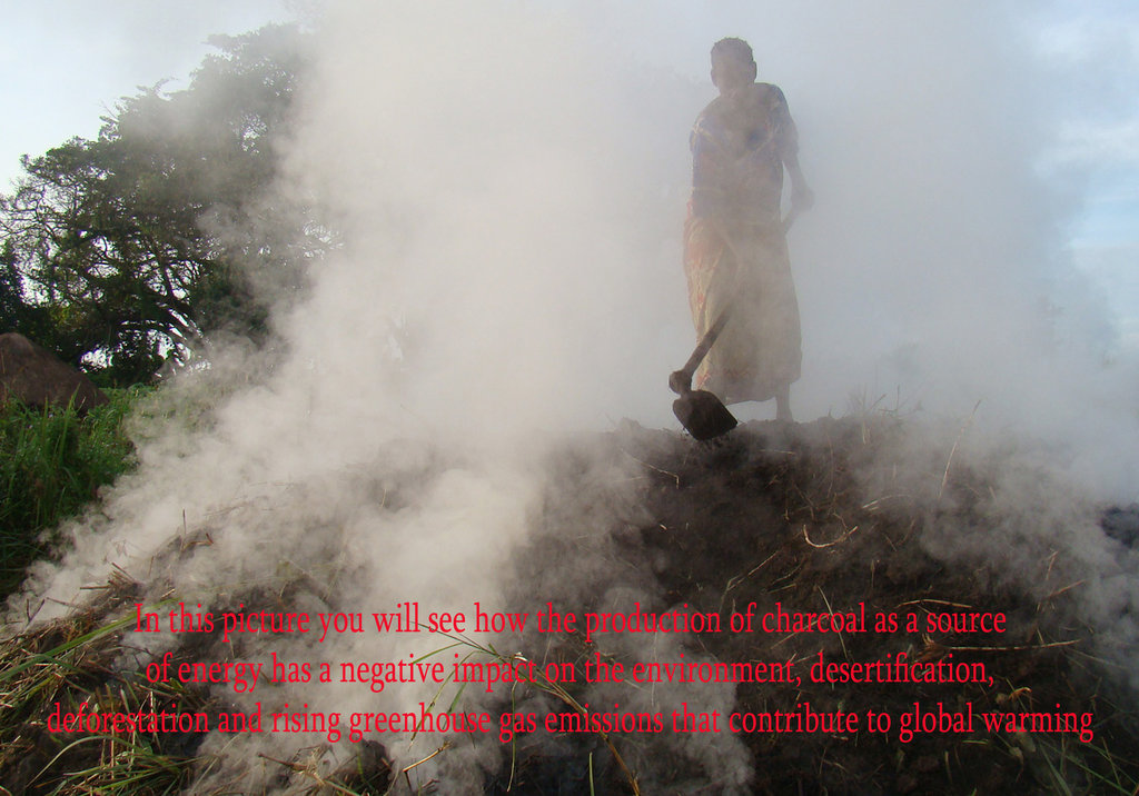 Fund a Sustainable, Green Coal Plant in Benin