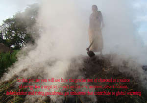 Fund a Sustainable, Green Coal Plant in Benin