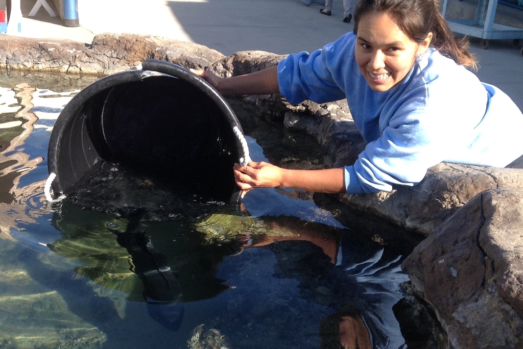 Evelyn returning fish to the tidepool tank