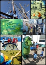 KH Sea Fair 2014