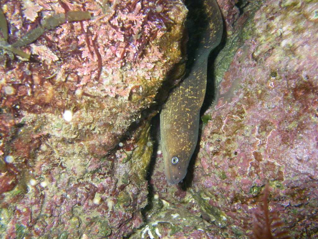 The SEA Lab